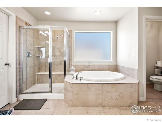 6770 Spring Rain Road, Timnath, CO 80547