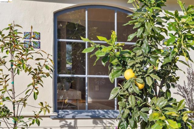 606 606 Masonic Ave, Albany, CA 94706