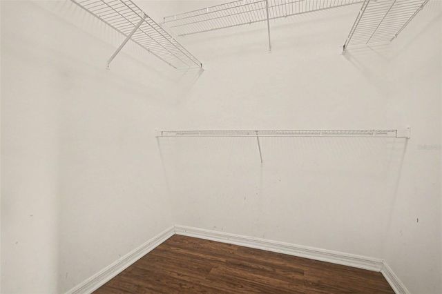 2238 HOLLY RIDGE DRIVE, Ocoee, FL 34761