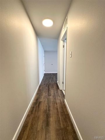 4117 Germania Street, St Louis, MO 63116