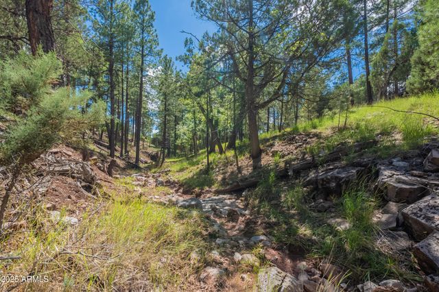 199 S GREYSTONE Circle, Payson, AZ 85541