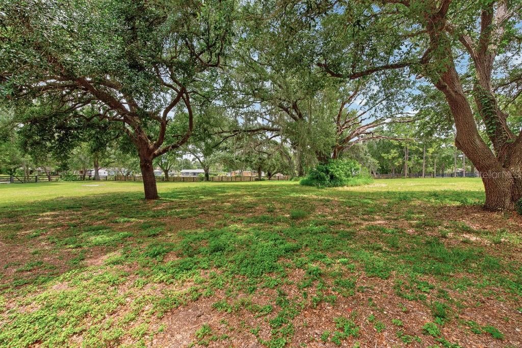 Image 52 of property listing at 18410 30TH STREET, Lutz, FL 33559