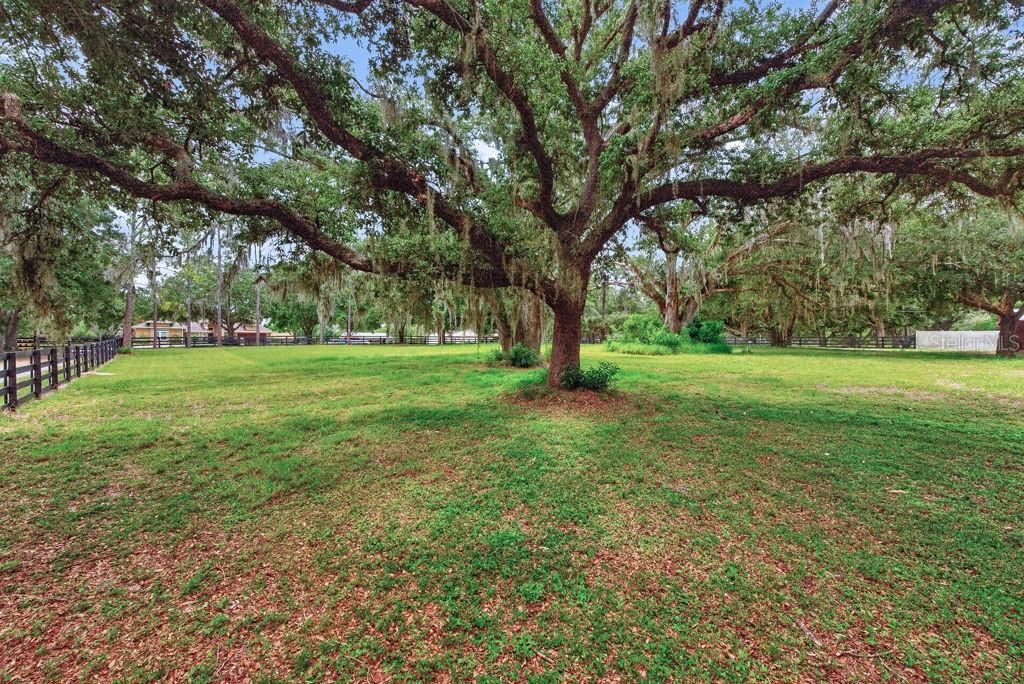 Image 54 of property listing at 18410 30TH STREET, Lutz, FL 33559