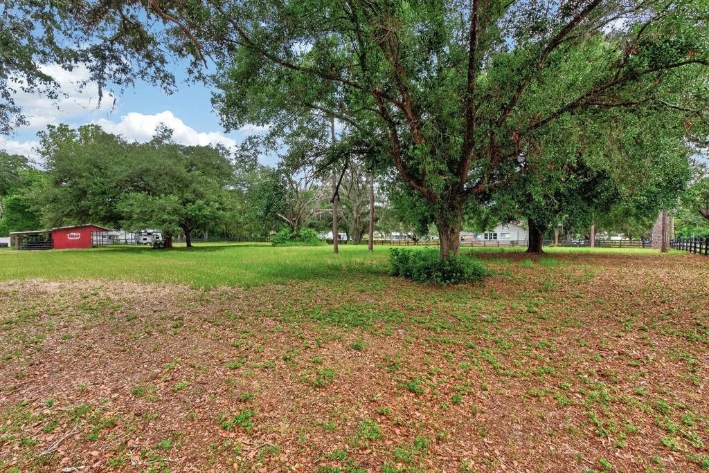 Image 57 of property listing at 18410 30TH STREET, Lutz, FL 33559