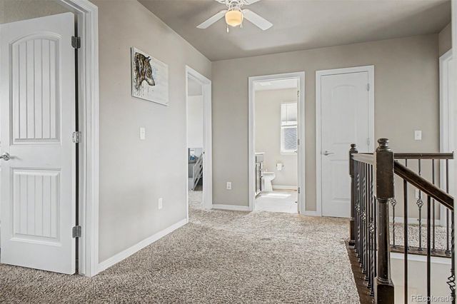 4689 Waltham Drive, Windsor, CO 80550