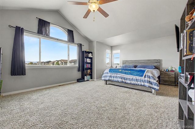 4689 Waltham Drive, Windsor, CO 80550