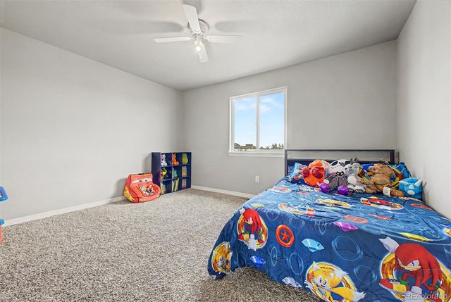 4689 Waltham Drive, Windsor, CO 80550