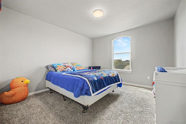 4689 Waltham Drive, Windsor, CO 80550