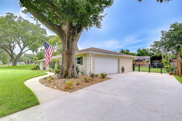 4206 HELENE PLACE, Valrico, FL 33594