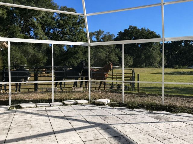 6 WINTERGREEN WAY, Ocala, FL 34482