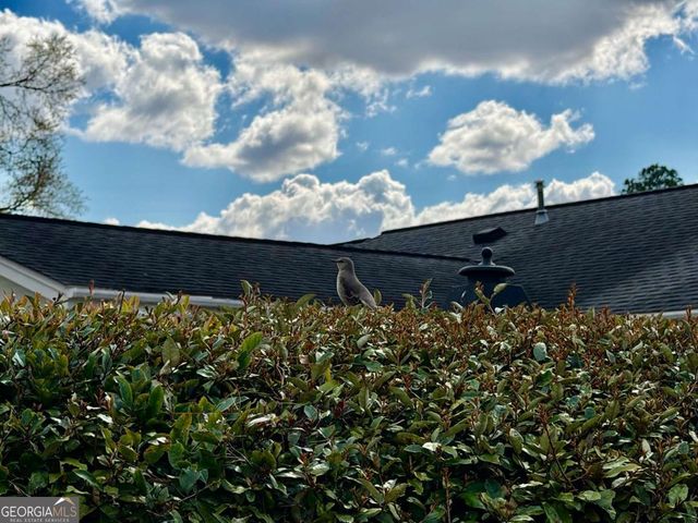 1206 Center Drive, Vidalia, GA 30474