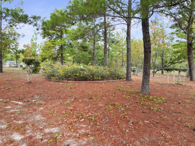 325 Blackfoot Drive, Defuniak Springs, FL 32433