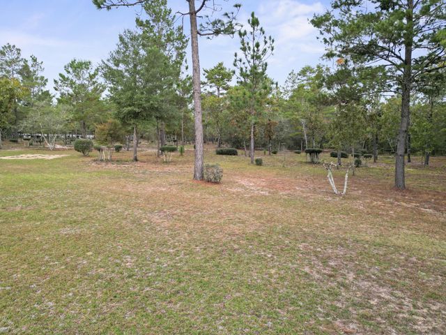 325 Blackfoot Drive, Defuniak Springs, FL 32433