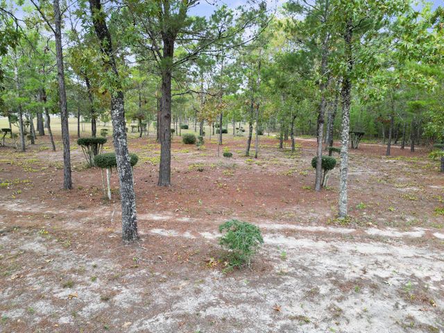 325 Blackfoot Drive, Defuniak Springs, FL 32433