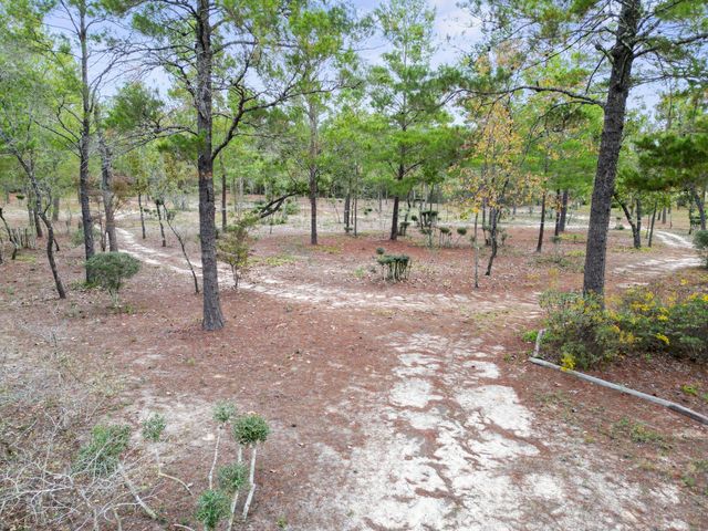 325 Blackfoot Drive, Defuniak Springs, FL 32433