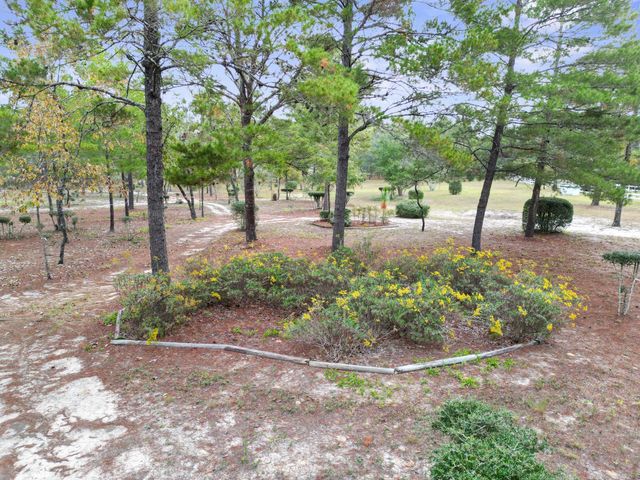 325 Blackfoot Drive, Defuniak Springs, FL 32433