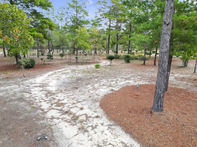325 Blackfoot Drive, Defuniak Springs, FL 32433