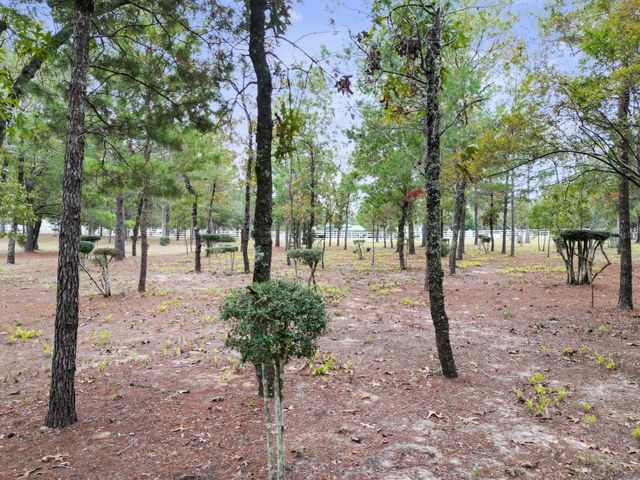 325 Blackfoot Drive, Defuniak Springs, FL 32433