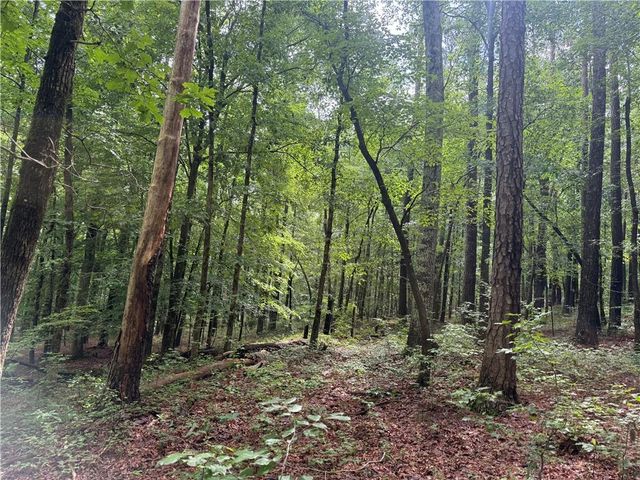 0 Turner Rd, Hampton, GA 30228