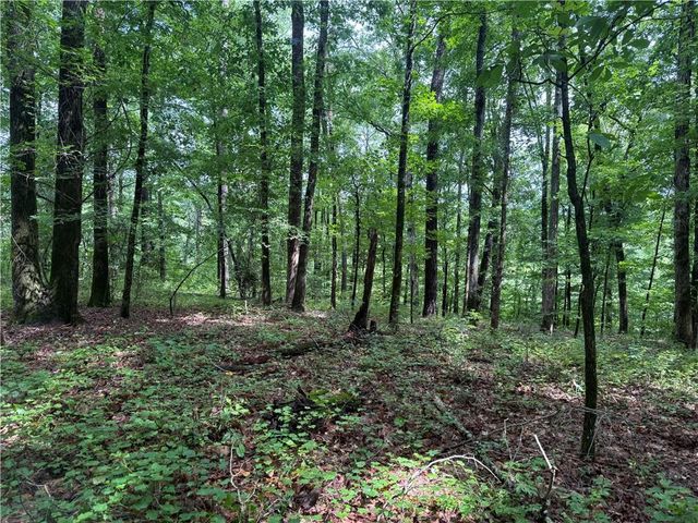 0 Turner Rd, Hampton, GA 30228