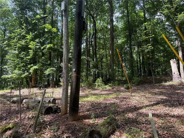 0 Turner Rd, Hampton, GA 30228