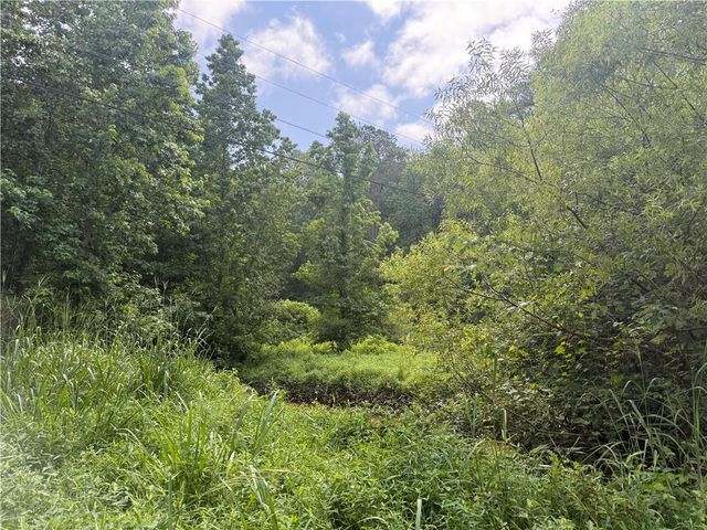 0 Turner Rd, Hampton, GA 30228