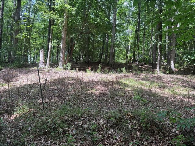 0 Turner Rd, Hampton, GA 30228