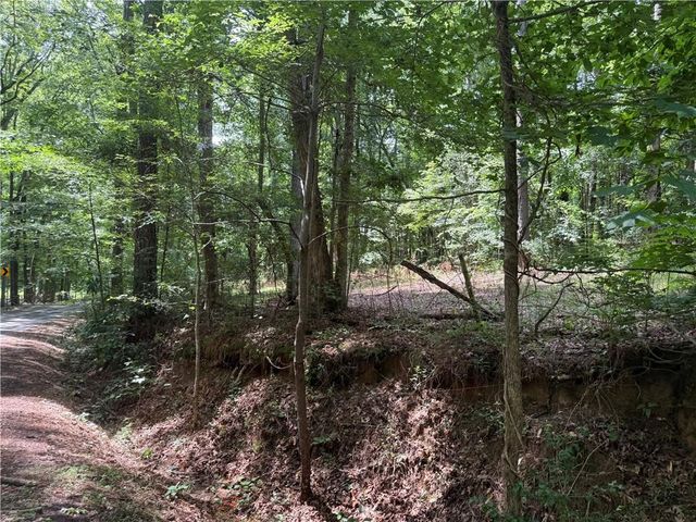 0 Turner Rd, Hampton, GA 30228