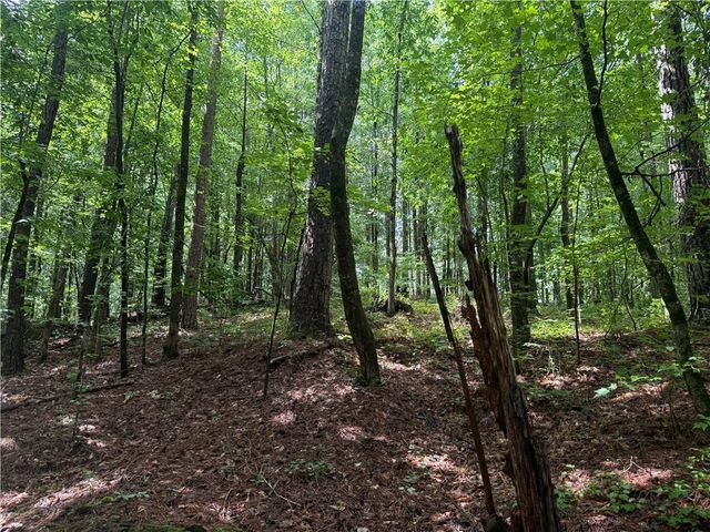 0 Turner Rd, Hampton, GA 30228