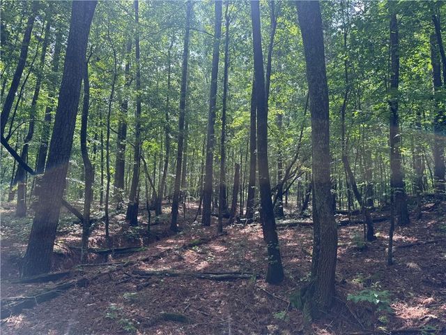 0 Turner Rd, Hampton, GA 30228
