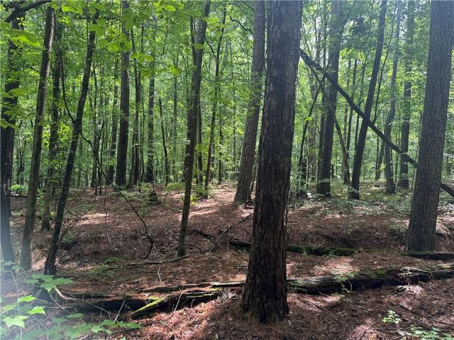 0 Turner Rd, Hampton, GA 30228