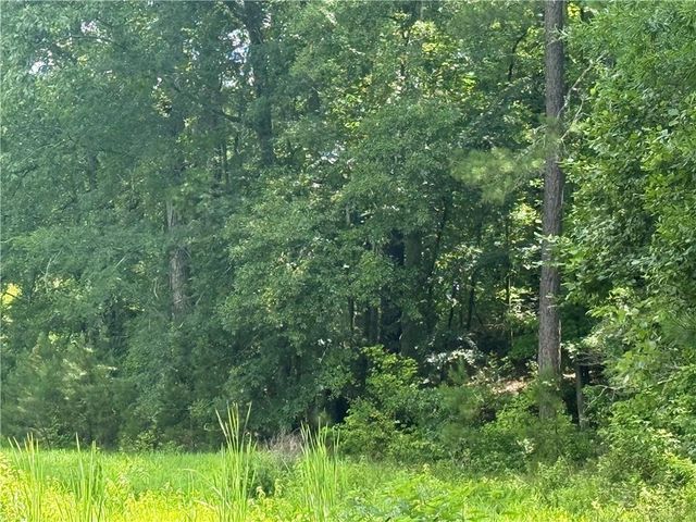 0 Turner Rd, Hampton, GA 30228