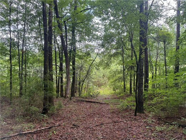 0 Turner Rd, Hampton, GA 30228