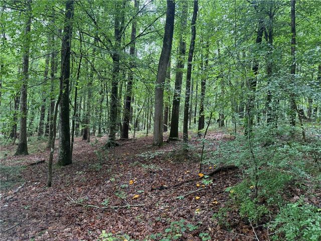 0 Turner Rd, Hampton, GA 30228