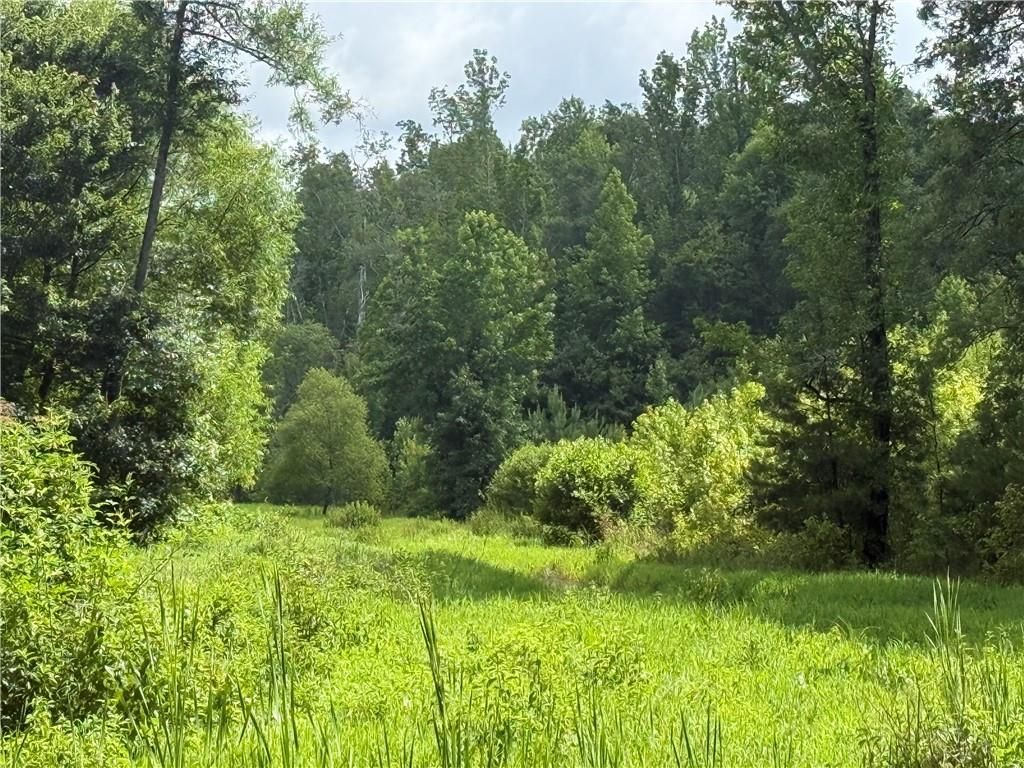0 Turner Rd, Hampton, GA 30228