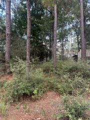 0 Little Ponderosa Drive, Onalaska, TX 77360