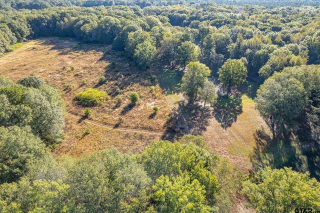 21289 CR 2138, Troup, TX 75789
