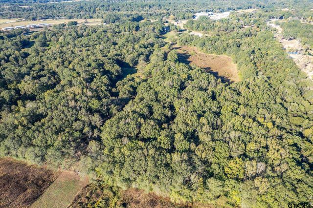 21289 CR 2138, Troup, TX 75789