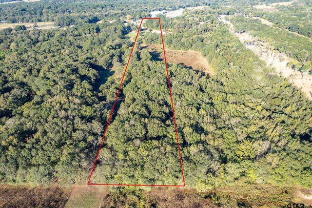 21289 CR 2138, Troup, TX 75789
