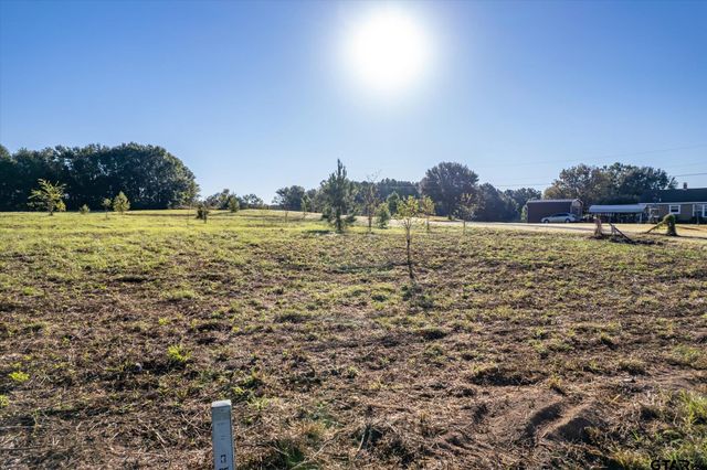 21289 CR 2138, Troup, TX 75789