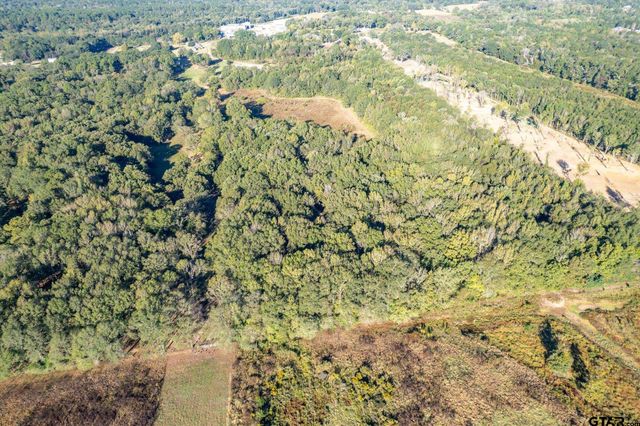 21289 CR 2138, Troup, TX 75789