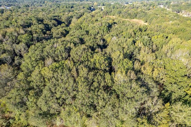 21289 CR 2138, Troup, TX 75789