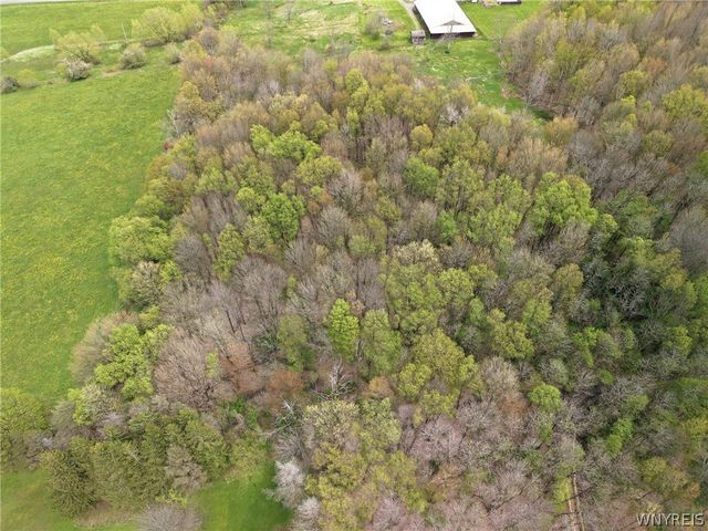 9970 Skyline Drive, Machias, NY 14042