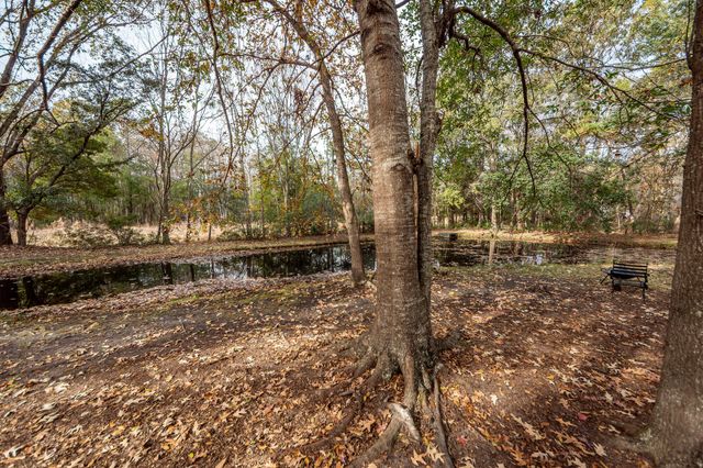 3221 Seaborn Drive, Mount Pleasant, SC 29466