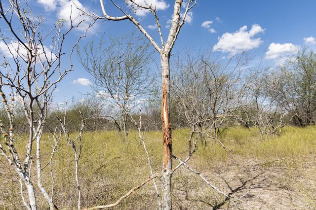 11341 Fm-340, Moulton, TX 77975