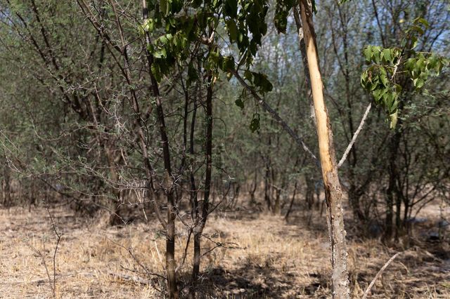 11341 Fm-340, Moulton, TX 77975