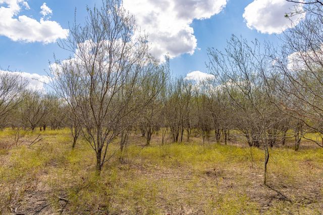 11341 Fm-340, Moulton, TX 77975