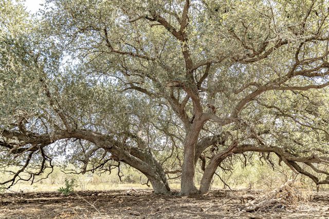 11341 Fm-340, Moulton, TX 77975