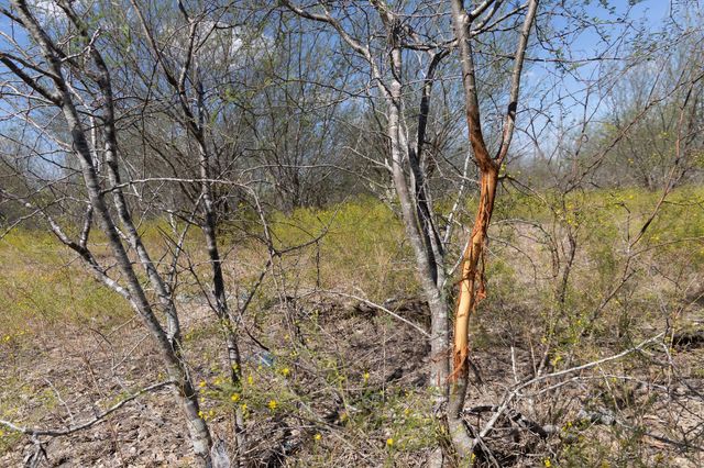 11341 Fm-340, Moulton, TX 77975