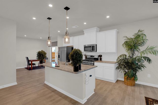 578 Bee Balm Drive, Blythewood, SC 29016